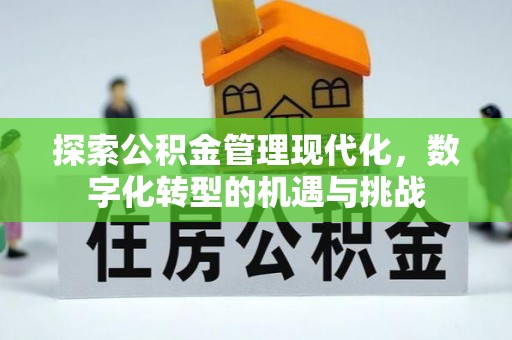 海城探索公积金管理现代化，数字化转型的机遇与挑战