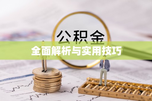 海城全面解析与实用技巧