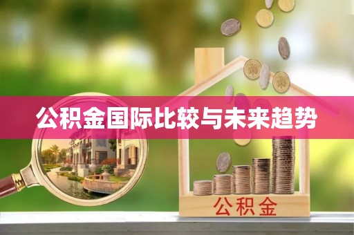 海城公积金国际比较与未来趋势