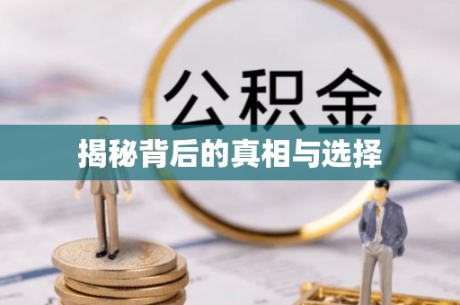 海城揭秘背后的真相与选择