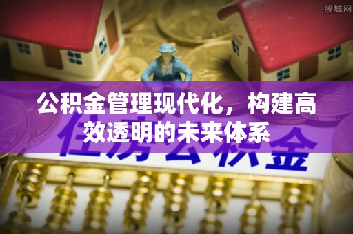 海城公积金管理现代化，构建高效透明的未来体系