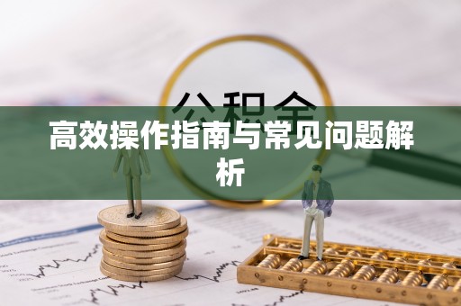海城高效操作指南与常见问题解析