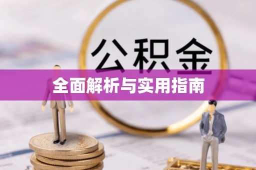 海城全面解析与实用指南