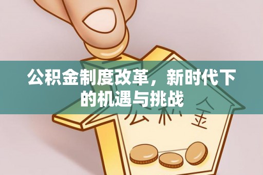 海城公积金制度改革，新时代下的机遇与挑战
