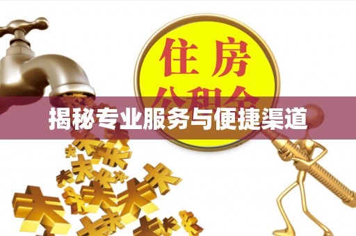 海城揭秘专业服务与便捷渠道