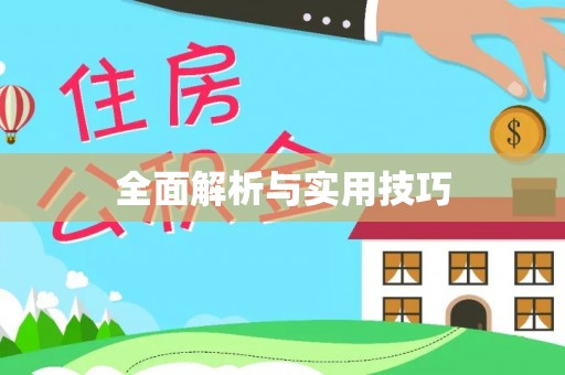 海城全面解析与实用技巧