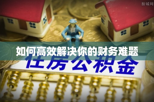 海城如何高效解决你的财务难题