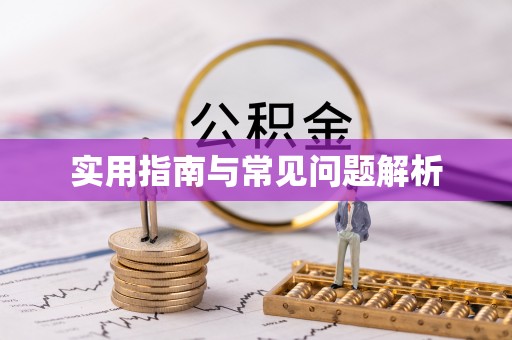 海城实用指南与常见问题解析