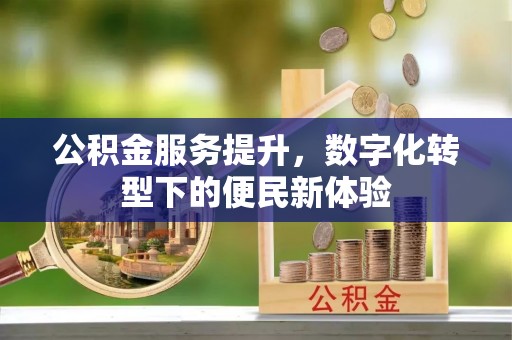 海城公积金服务提升，数字化转型下的便民新体验