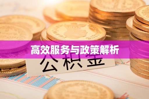 海城高效服务与政策解析