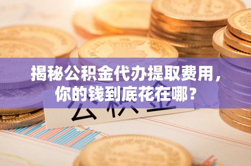 海城揭秘公积金代办提取费用，你的钱到底花在哪？