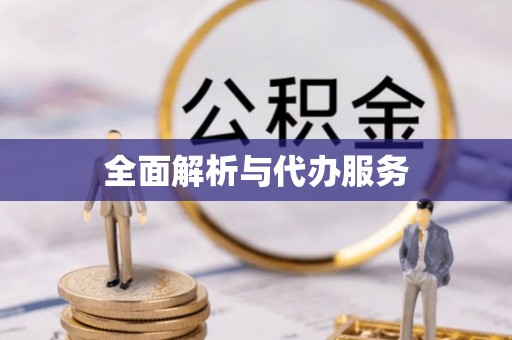 海城全面解析与代办服务