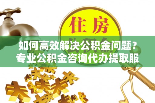 海城如何高效解决公积金问题？专业公积金咨询代办提取服务来帮你