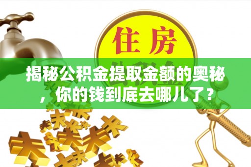海城揭秘公积金提取金额的奥秘，你的钱到底去哪儿了？