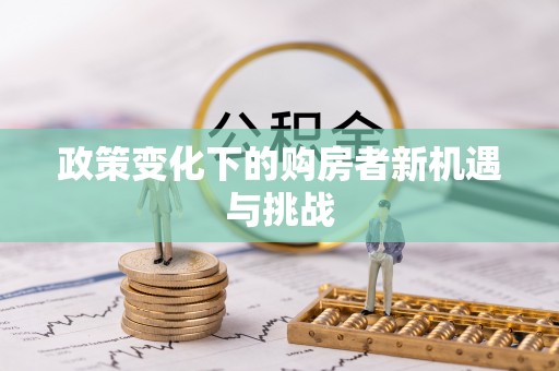 海城政策变化下的购房者新机遇与挑战