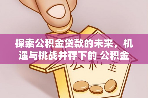 海城探索公积金贷款的未来，机遇与挑战并存下的 公积金贷款风险防控