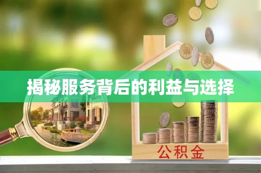 海城揭秘服务背后的利益与选择
