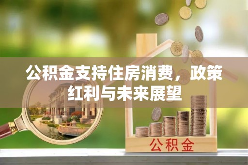 海城公积金支持住房消费，政策红利与未来展望