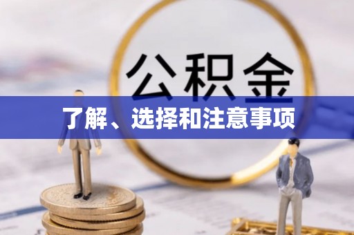 海城了解、选择和注意事项