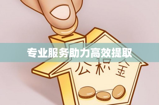 海城专业服务助力高效提取