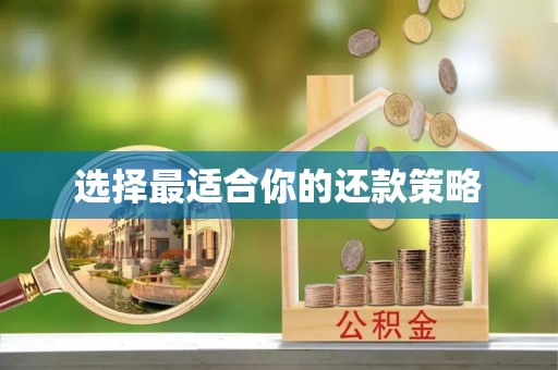 海城选择最适合你的还款策略