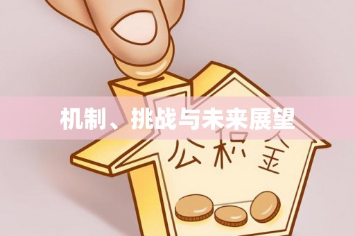 海城机制、挑战与未来展望